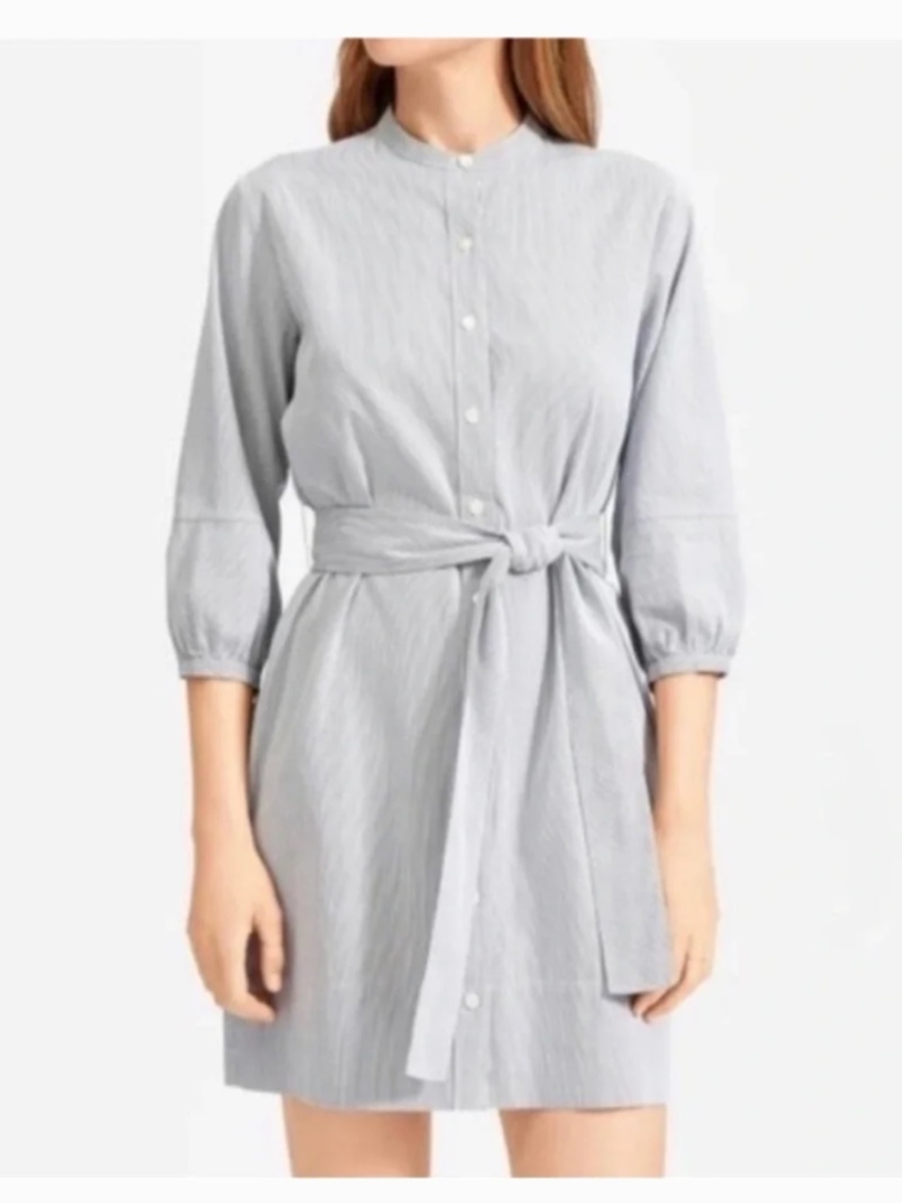 NWT Everlane Weave Collarless Shirt Dress Button Down Pinstripe Belt Sz 10